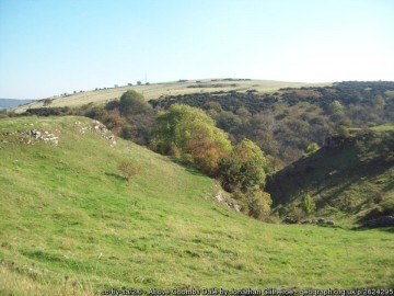 Coombs Dale